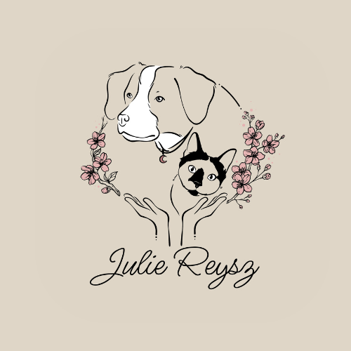 Logo JulieReysz lien vers la page accueil