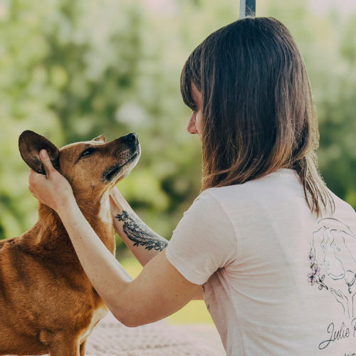 Julie, la spécialiste de massage animalier en pleine séance de massage canin avec un chien de moyenne taille sur une table dans le jardin